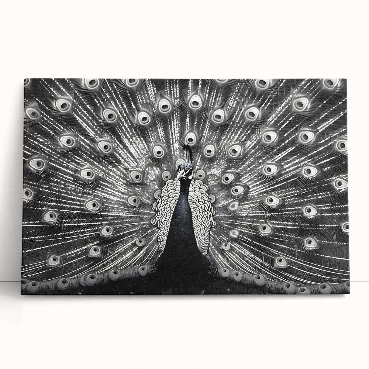 Vibrant peacock design stretched canvas wall art showcasing intricate feather patterns in shades of blue and green, leaning against a neutral wall for a modern decor touch.