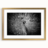 Peacock design wall art framed in gold, showcasing vibrant colors and intricate patterns, perfect for adding elegance to any home decor.