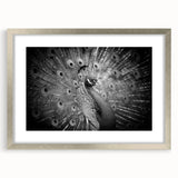 Elegant silver-framed wall art featuring a vibrant peacock design with intricate details, perfect for adding a touch of sophistication to any room decor.