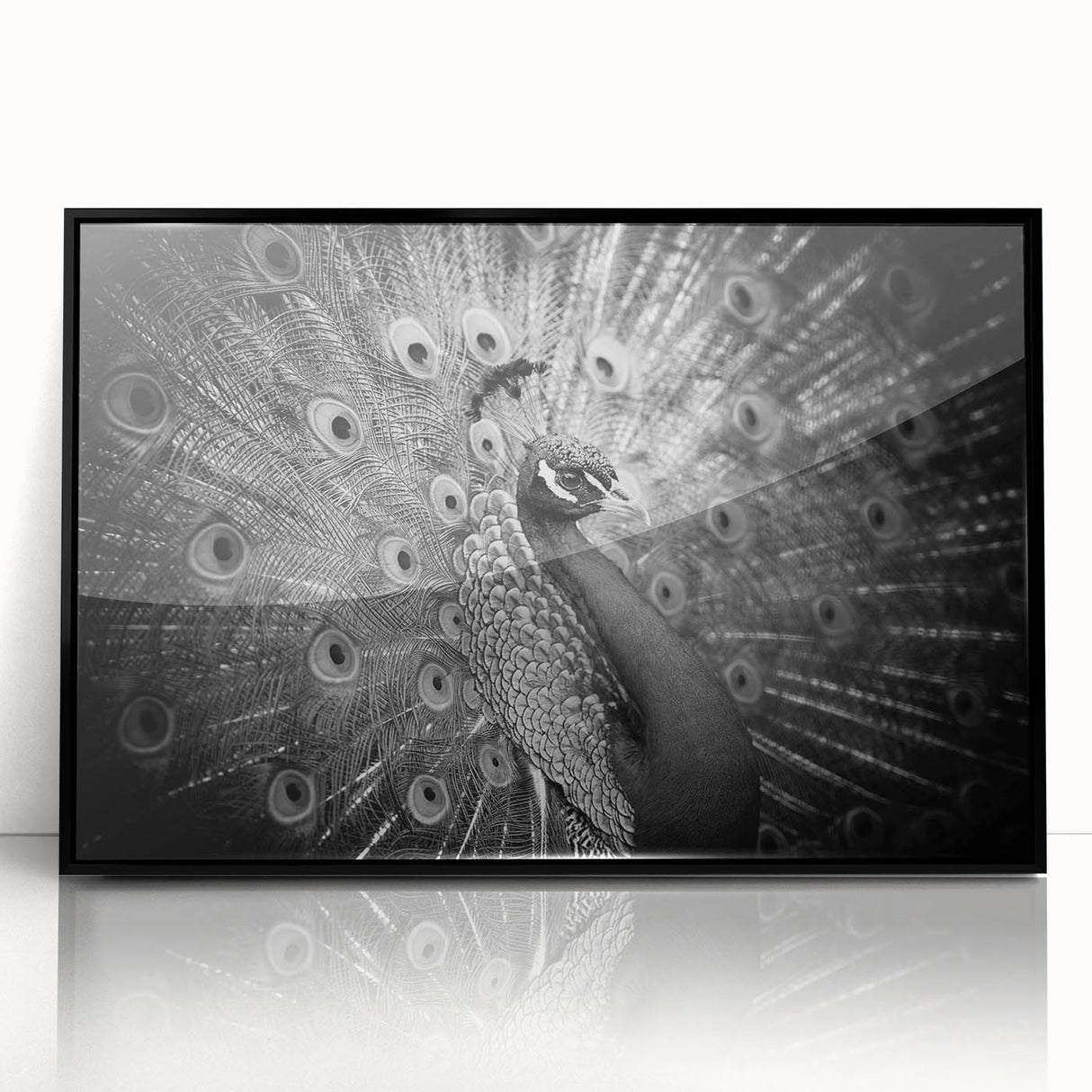 Framed wall art showcasing a vibrant peacock design in rich colors, set against a sleek black background, perfect for adding elegance to any home decor.