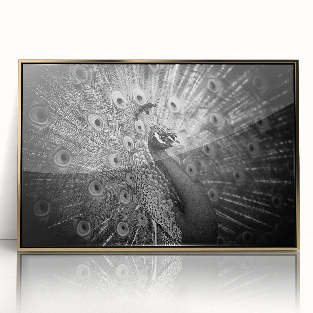 Framed wall art featuring a vibrant peacock design in rich gold and blue tones, showcasing intricate details and elegant framing, perfect for enhancing home decor.