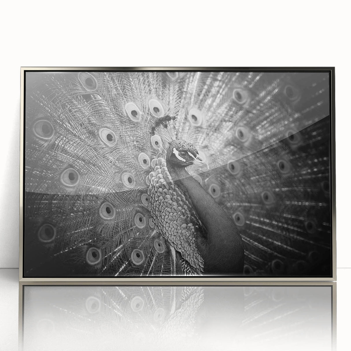 Framed wall art featuring an elegant peacock design in vibrant colors, with a sleek silver frame, perfect for adding a touch of sophistication to any decor.