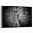 Framed canvas wall art featuring a vibrant peacock design with intricate detailing, set against a black background, showcasing a stylish side view for contemporary decor.