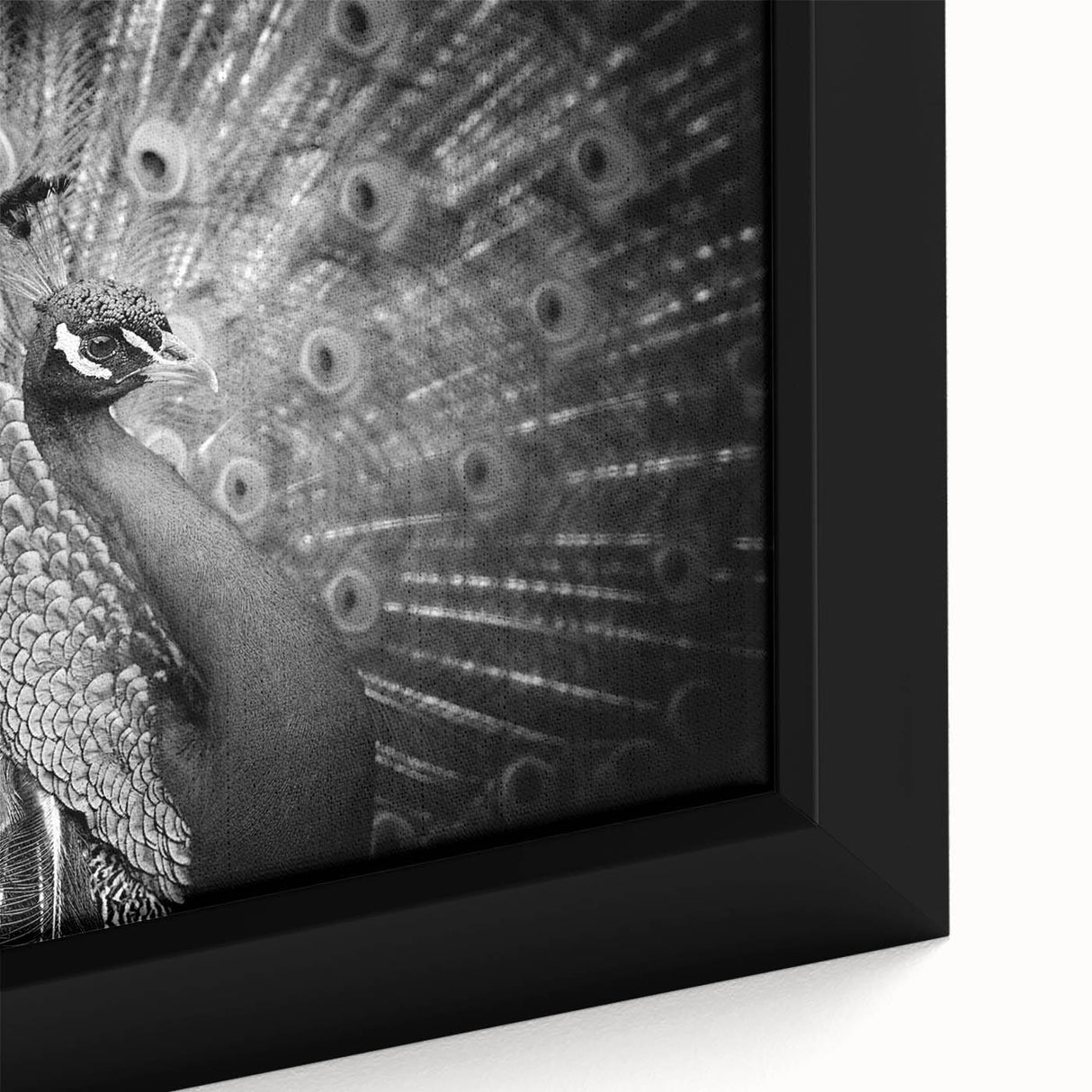 Close-up of a framed canvas wall art featuring an intricate peacock design with vibrant blues and greens, showcasing detailed feather patterns, ideal for home decor.