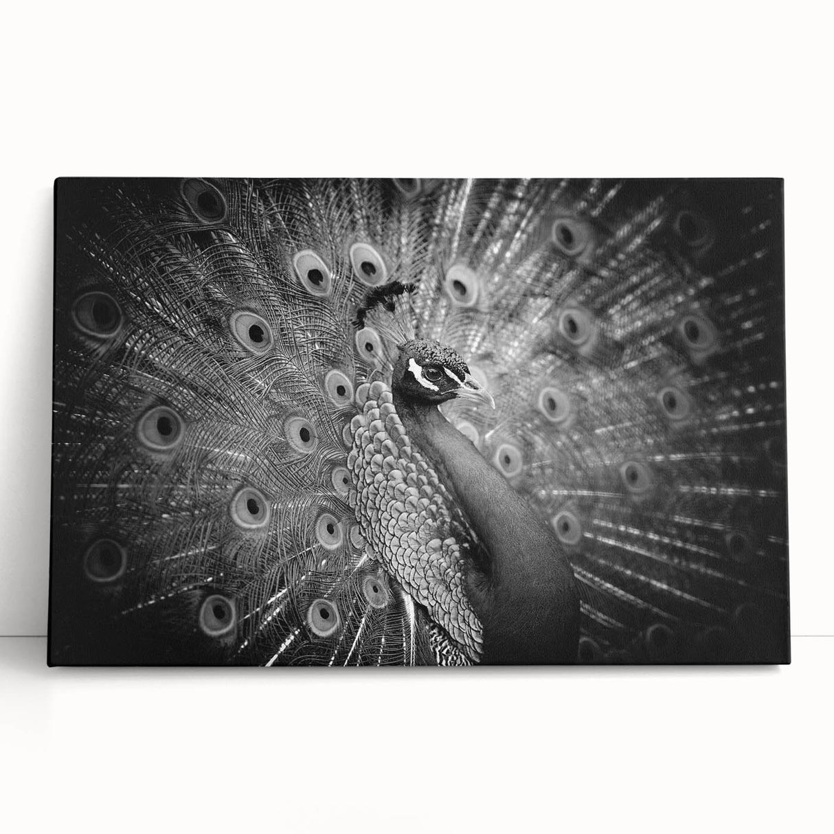 Vibrant peacock-themed wall art on stretched canvas, showcasing intricate blue and green feather designs; perfect for enhancing modern home decor.