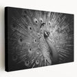 Stretched canvas wall art showcasing a vibrant peacock design with intricate details and rich colors, perfect for enhancing contemporary home decor.