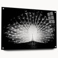 Vibrant peacock-themed wall art collection displayed in acrylic glass, showcasing intricate designs and vivid colors, perfect for enhancing home decor.