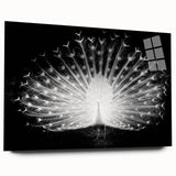 Elegant peacock design wall art collection displayed in a sleek acrylic frame, showcasing vibrant colors and intricate details, perfect for enhancing modern decor.