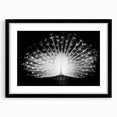 Elegant wall art featuring a peacock design in vibrant colors, framed in a sleek black frame with a mat, perfect for enhancing modern home decor.