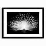 Elegant wall art featuring a peacock design in vibrant colors, framed in a sleek black frame with a mat, perfect for enhancing modern home decor.