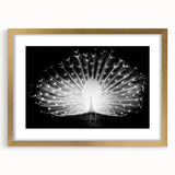 Elegant peacock design wall art in a gold frame with matting, showcasing vibrant colors and intricate details, perfect for enhancing modern decor.