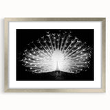 Elegant wall art featuring a peacock design in vibrant colors, framed in silver with a mat. Perfect for enhancing home decor and adding a touch of sophistication.