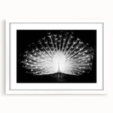 Peacock design wall art framed with a white mat, showcasing vibrant colors and intricate feather details, perfect for enhancing home decor aesthetics.