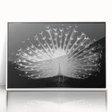 Framed wall art collection showcasing a vibrant peacock design in rich colors, featuring an elegant white frame, perfect for home decor and enhancing interior spaces.