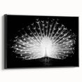 Framed wall art collection featuring a vibrant peacock design on canvas, showcasing rich colors and intricate details, set against a sleek black frame. Perfect for enhancing modern decor.