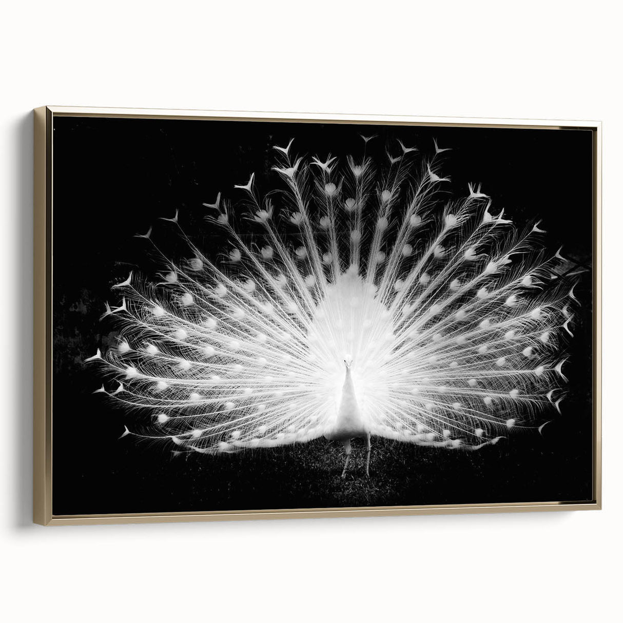 Framed wall art featuring an elegant peacock design in vibrant colors, set against a gold background, showcasing intricate details and luxurious aesthetics. This piece adds a touch of sophistication and nature-inspired beauty to home decor.