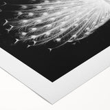 Vibrant rolled canvas wall art featuring an intricate peacock design, showcasing vivid colors and detailed feathers, perfect for enhancing any living space.