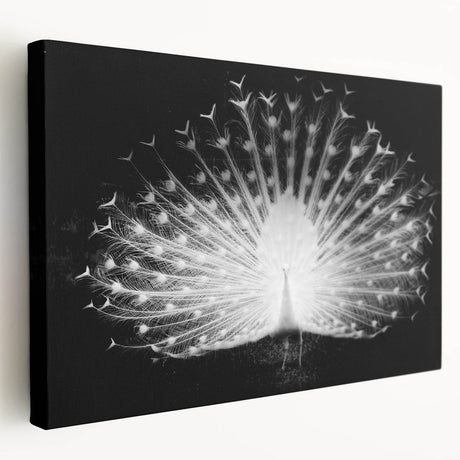 Vibrant peacock design stretched canvas wall art showcasing intricate feather details in shades of blue and green, perfect for enhancing home decor.