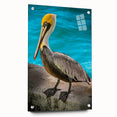 Side view of a vibrant pelican-themed wall art piece, designed with acrylic glass, showcasing intricate details and colors, ideal for enhancing decor.