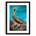 Black-framed wall art showcasing a pelican design, featuring vibrant colors and intricate details, perfect for enhancing coastal home decor or bird-themed interiors.