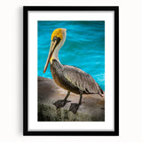 Black-framed wall art showcasing a pelican design, featuring vibrant colors and intricate details, perfect for enhancing coastal home decor or bird-themed interiors.