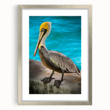 Framed wall art featuring a silver mat and a detailed pelican design, showcasing vibrant colors and intricate patterns, perfect for coastal home decor.