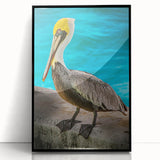 Framed acrylic wall art featuring a pelican design in black, showcasing intricate details and a modern aesthetic, ideal for coastal-themed decor.