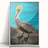 Framed acrylic wall art featuring a pelican design in a contemporary style, set against a white background, ideal for coastal-themed decor. Perfect for nature lovers.