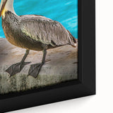 Close-up of a framed canvas wall art featuring a colorful pelican design, showcasing intricate details and vibrant hues, ideal for coastal home decor.
