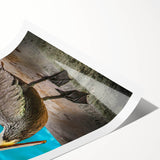 Pelican wall art print showcasing a vibrant, colorful design featuring a pelican in a natural coastal setting, ideal for beach-themed decor or wildlife enthusiasts.