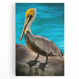 Stretched canvas wall art featuring a vibrant pelican design in a coastal setting, showcasing rich colors and intricate details, perfect for beach-themed decor.