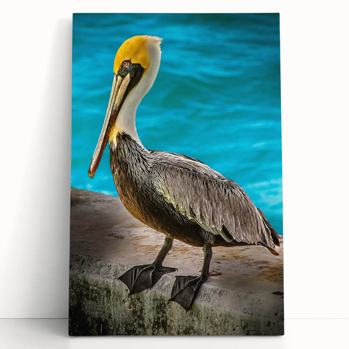 Stretched canvas wall art featuring a serene pelican design with soft blue and beige tones, perfectly suited for coastal-themed decor, leaning against a neutral wall.