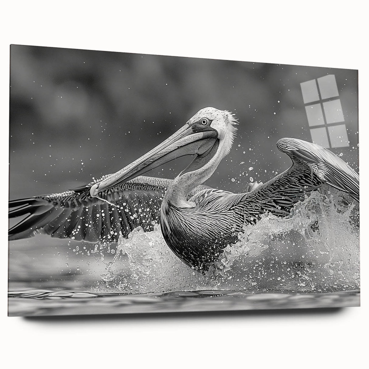 Acrylic wall art collection featuring a side view of a pelican design, showcasing vibrant colors and intricate details, perfect for coastal-themed decor.