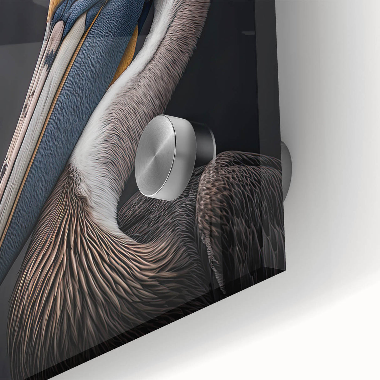 Close-up of a vibrant pelican wall art design featuring a detailed acrylic glass finish, showcasing rich colors and intricate textures, ideal for coastal decor.