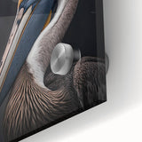 Close-up of a vibrant pelican wall art design featuring a detailed acrylic glass finish, showcasing rich colors and intricate textures, ideal for coastal decor.