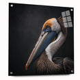 Detailed side view of a pelican-themed wall art piece, showcasing vibrant colors and a sleek acrylic glass finish, elegantly mounted with pins for display.