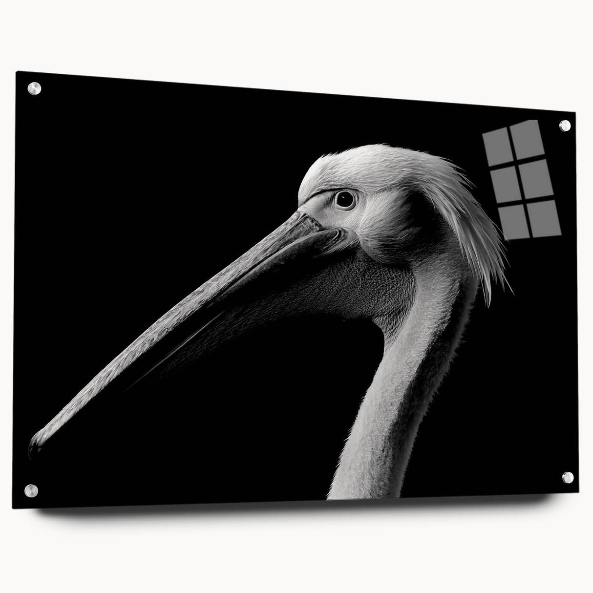 Side view of a vibrant acrylic wall art piece showcasing a pelican design, elegantly displayed with pins, ideal for modern home decor. Perfect for bird lovers and art enthusiasts.
