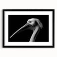 Framed wall art featuring a striking black pelican design with a white background, showcasing a contemporary aesthetic ideal for modern home decor.