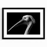 Framed wall art featuring a striking black pelican design with a white background, showcasing a contemporary aesthetic ideal for modern home decor.