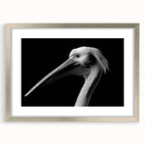 Framed wall art featuring a silver mat and pelican design, showcasing vibrant colors and intricate details against a modern decor setting, ideal for coastal themes.