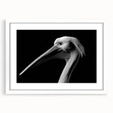 Framed wall art featuring a pelican design, presented in a white mat, showcasing vibrant colors and intricate details, perfect for coastal-themed decor.