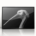 Framed acrylic wall art featuring a sleek black pelican design, showcasing intricate details and vibrant colors, perfect for modern home decor.
