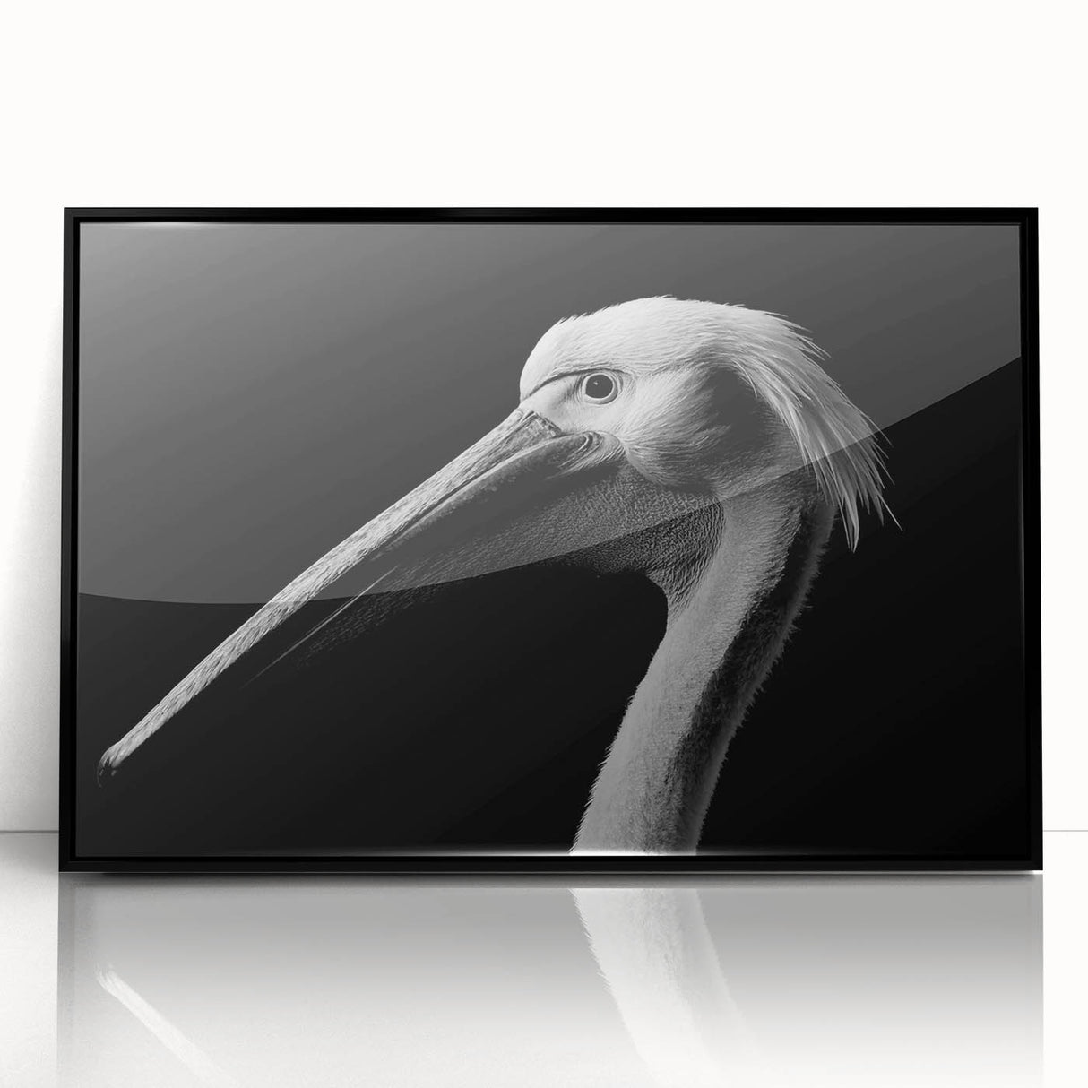 Framed acrylic wall art featuring a sleek black pelican design, showcasing intricate details and vibrant colors, perfect for modern home decor.