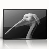 Framed acrylic wall art featuring a sleek black pelican design, showcasing intricate details and vibrant colors, perfect for modern home decor.