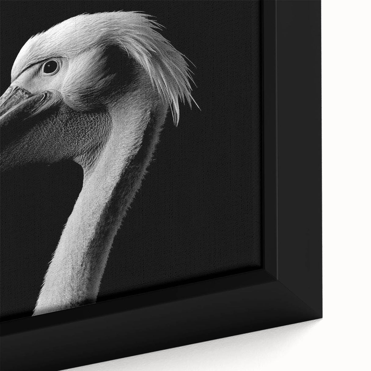 Close-up of a framed canvas wall art featuring a colorful pelican design, showcasing vibrant blues and yellows, ideal for coastal home decor enthusiasts.