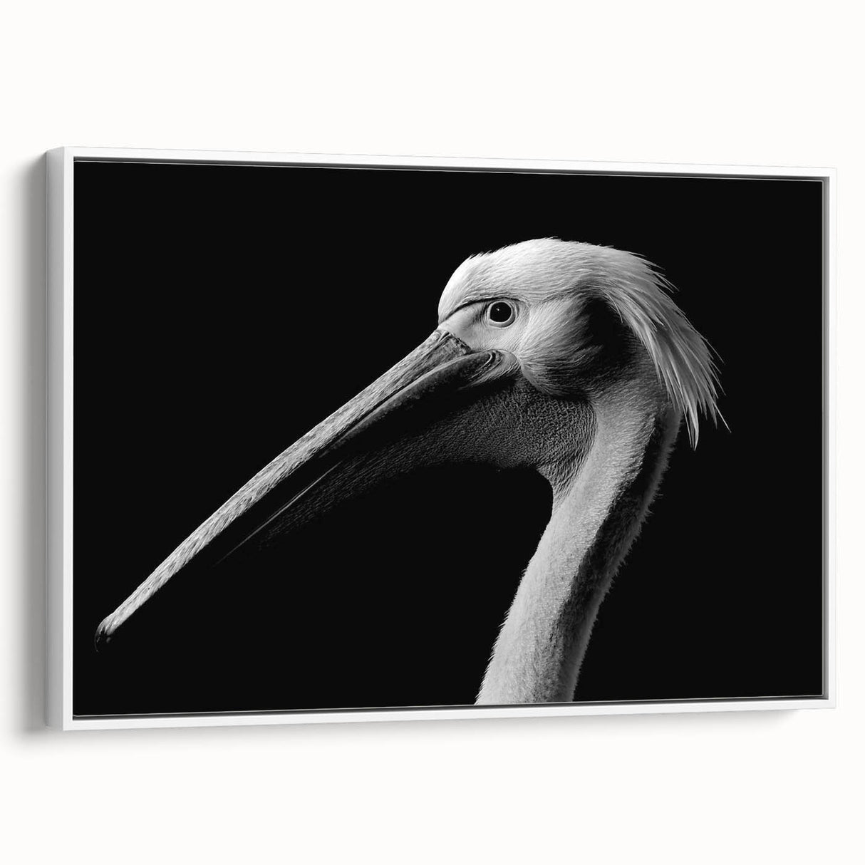 Framed canvas wall art featuring a side view of a pelican design, showcasing vibrant colors and intricate detailing, perfect for coastal-themed decor.