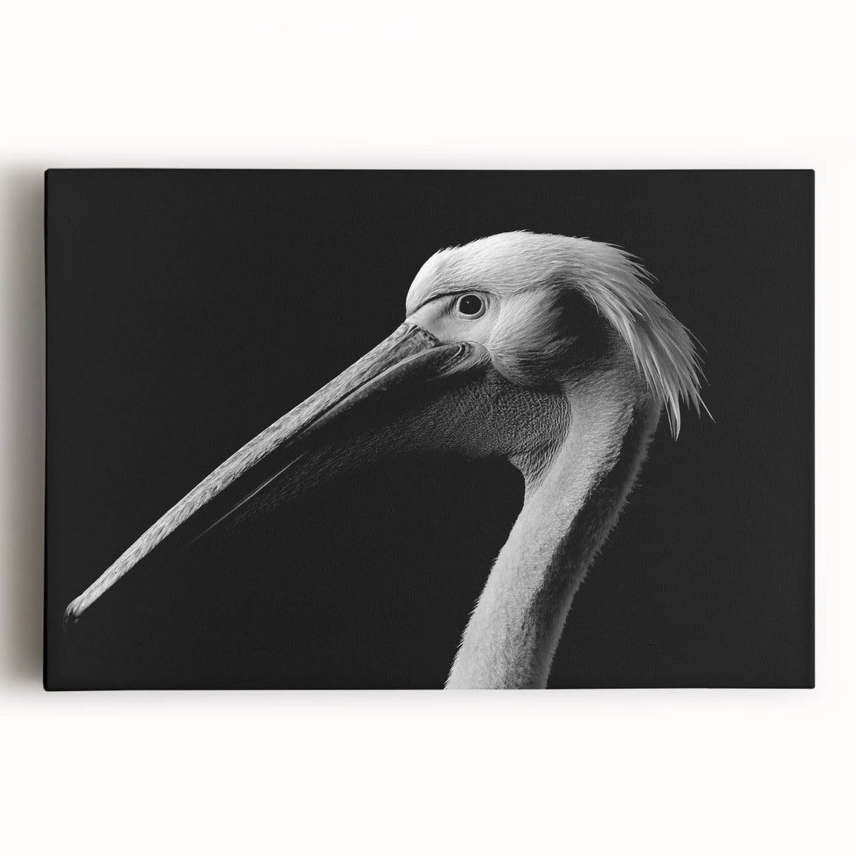 Stretched canvas wall art featuring a vibrant pelican design with detailed textures and rich colors, perfect for coastal-themed decor in homes or offices.