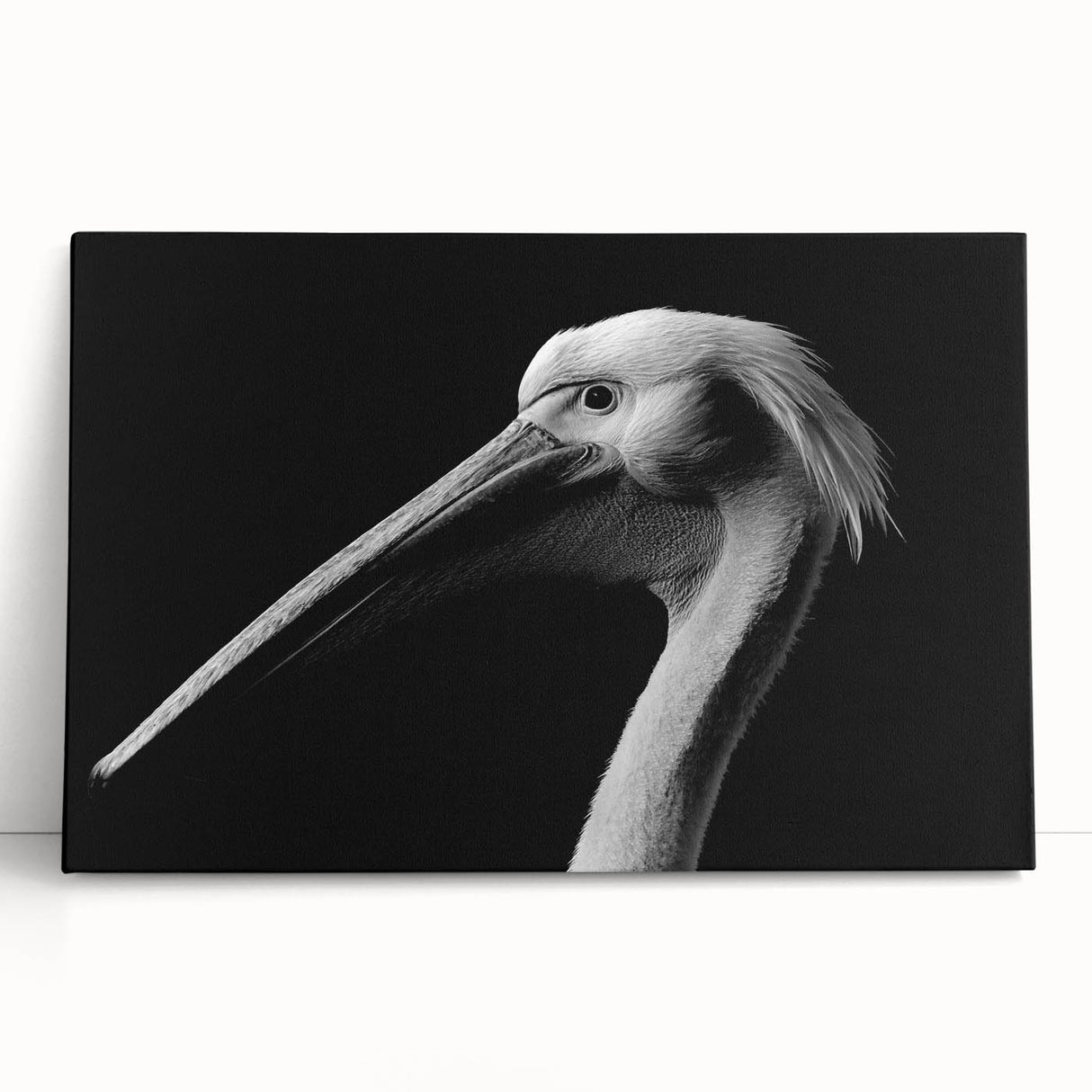Stretched canvas artwork showcasing a vibrant pelican design with abstract colors, ideal for coastal decor. Perfect for enhancing living spaces or galleries.