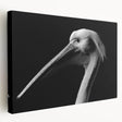 Pelican wall art collection displayed on a stretched canvas, showcasing vibrant colors and intricate design details, perfect for coastal-themed decor.