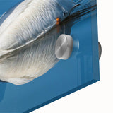 Close-up of a vibrant pelican-themed wall art design featuring intricate details and bright colors, printed on high-quality acrylic glass, perfect for modern decor.